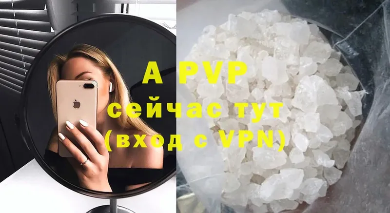 Alfa_PVP СК КРИС  мега зеркало  Грязовец 